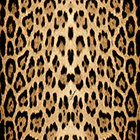 ${brand}  ${colorDescription} ${masterID}