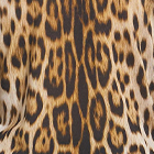${brand} Jacket ${colorDescription} ${masterID}