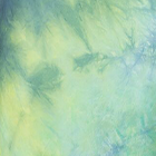 ${brand}  ${colorDescription} ${masterID}