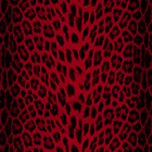 ${brand}  ${colorDescription} ${masterID}