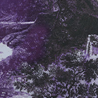 ${brand} Rose-Print Dress ${colorDescription} ${masterID}