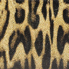 ${brand}  ${colorDescription} ${masterID}