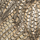 ${brand} Dress ${colorDescription} ${masterID}