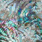 ${brand} None ${colorDescription} ${masterID}