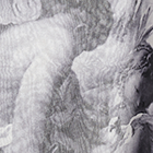 ${brand} Roberto Cavalli Stole with JUNGLE print ${colorDescription} ${masterID}