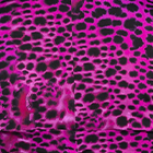 ${brand} Animal-print fishtail skirt ${colorDescription} ${masterID}