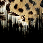 ${brand} Jaguar Skin print shirt ${colorDescription} ${masterID}