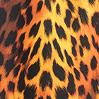 ${brand} Zebra-Print Bikini Briefs ${colorDescription} ${masterID}